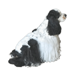 asako_20210806202800