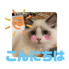 Yuka_20210807213158