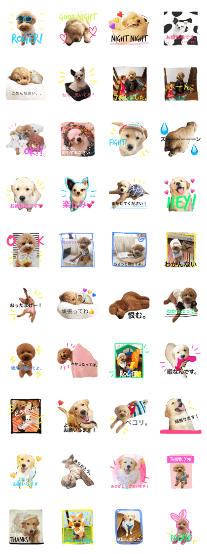 Lovely Sweet Doggies