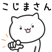 Cat For KOJIMA