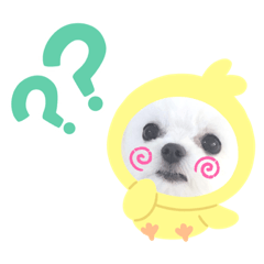 omochi_20210807224636