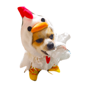 umepi!