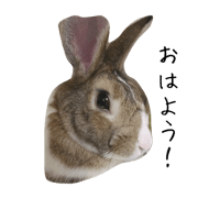 KOBOSUKE