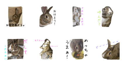 KOBOSUKE