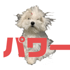 miki_20210808001149