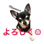 Padme's 40 stickers #1