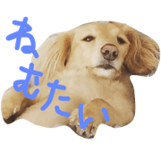 mennma2