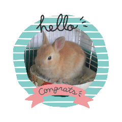 Alice_20210807182142