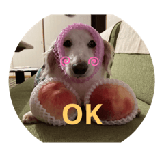 smile_20210807184523