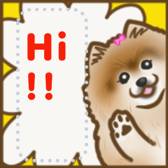 Pomeranian Message Sticker
