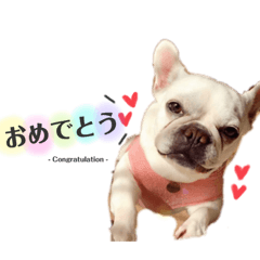 yuka_20210808005509