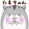 Tamachan only Hamster Sticker