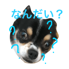 tapuzou