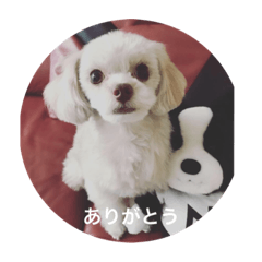 ihciad_20210807204704