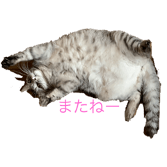 smile_20210807195829