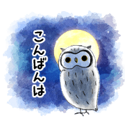 Everyday, RAMUNE the White-faced Owl