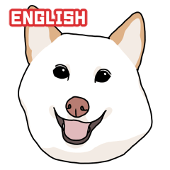 白柴犬Chobi貼圖 2 (英文)