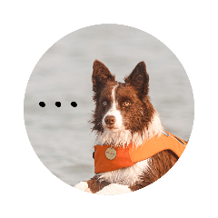 MOLLIE & ELLA SET 1.1