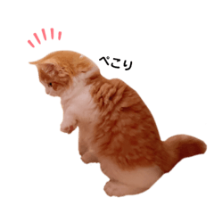 じゃむスタンプ1