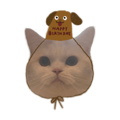 矮冬瓜蘿蔔