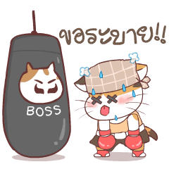 Soidow Coffee Cat