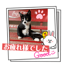 Mimi_20210808135349