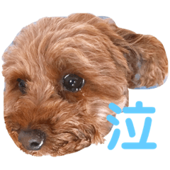 Yuka_20210807222231