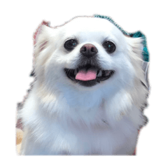 Mizuki_20210808143952