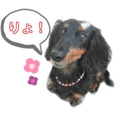 himawari Vol.1