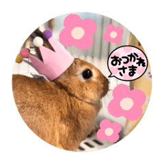 hana_20210808150058