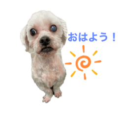 miyuu_20210808112109