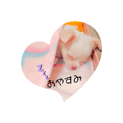 nonta_20210808114701
