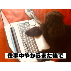 tomomi_20210808162457