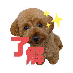 ayumi_20210808135804