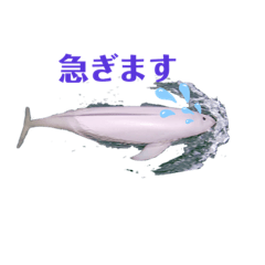 Ocean creature Japan_20210808165251