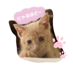azu_20210808171147