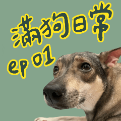 A dog's daily routine ep01