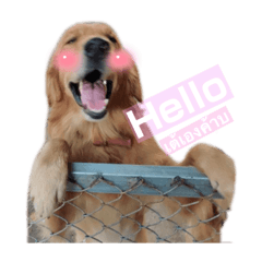 Bfern_20210621113612