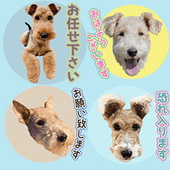 Happy Terrier's daily honorific stickers