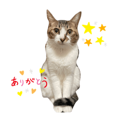 mimi_20210808200137