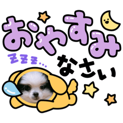 rina_20210808201136
