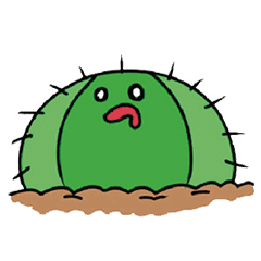 Thorn Thorn Man
