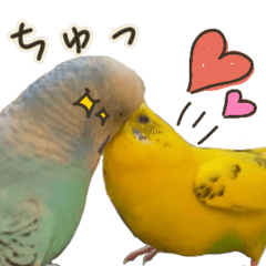 Parakeet's cute Sticker