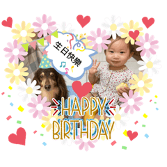 黃金奇異果第二彈