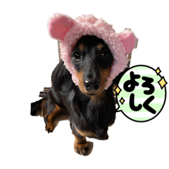 cocoa_20210808213326