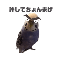 yuina_20210808221252