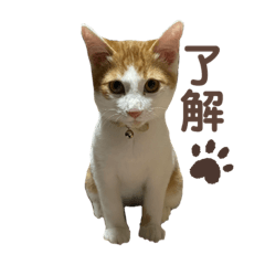 yuka_20210809002217