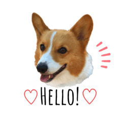 saori_20210809004412