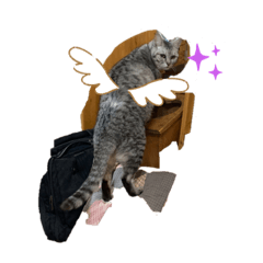 smile_20210809005554