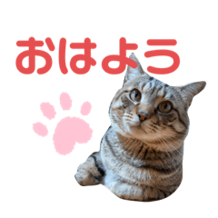 yuka_20210809092942